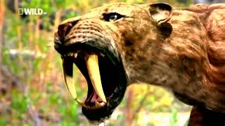 Доисторические хищники Саблезубый тигр   Документальный фильм National Geographic