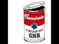 Gnr - Concentrado (compilation Stream)
