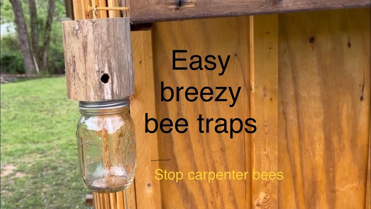 How To Make Carpenter Bee Traps From A Log - YouTube