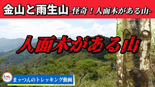 【愛知の山再配信】金山 標高423m 雨生山 標高313m -怪奇！人面木がある山-【まッつんのトレッキング動画】