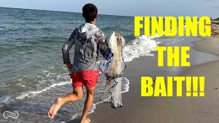 TIPS FOR FINDING BAITFISH ON THE BEACH