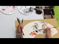 中国画教学花鸟篇 花鸟扇面的经营方法 chinese ink wash painting tutorial