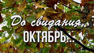 До свидания, октябрь! До встречи через год! С последним днем октября