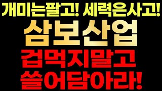 삼보산업🚨 개미는팔고! 세력은사고! 겁먹지말고 쓸어담으세요