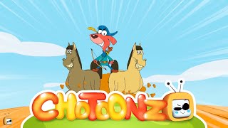New Full Episodes Rat A Tat Season 12 | Robinhood Don Adventure Theft | Funny Cartoons | Chotoonz TV