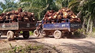 luar biasa mereka muatan nya