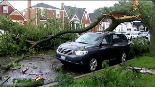 Cleaning Up After Stormy Weather