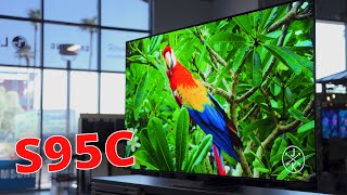 Samsung's New S95C Review | TV Of The Year?!