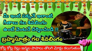 బ్రహ్మసూత్రం గల శివలింగం#Siva Puranam/శివపురాణంThe Most Powerful God On Earth/ SivaRathri#శివాభిషేకం