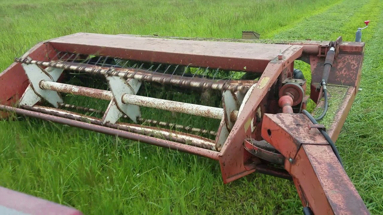 1090 Heston Haybine Cutting Hay - YouTube