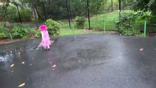 Puddle Stomping at the Zoo