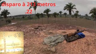 rifle 22 at 213 meters check it out