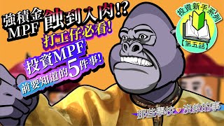 【投資新手入門】強積金MPF蝕到入肉!? 打工仔必看! 投資MPF前要知道的5件事! ｜股票知識｜投資理財｜財務自由｜投資心態｜@OneWayInvestment