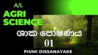 ශාක පෝෂණය 01 l A/L Agri Science l Piumi Dissanayake