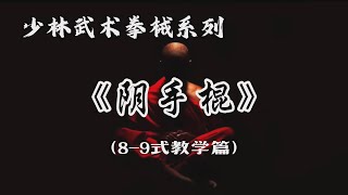 少林武术拳械系列：阴手棍（8—9式）教学篇