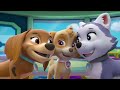 paw patrol skye s music party 2 🐾💃 20 minutes nick jr. music