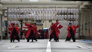 【4K】にいがた総おどり 総踊衆～愛～