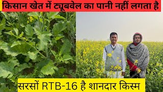 जानियें सरसों की RTB-16 की खूबियाँ/Know the properties of mustard RTB-16