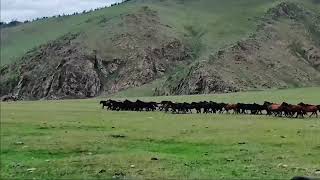 20240720 Khul Sayangiin Pass to Tamir River Valley #outdoors #mongolia #Bayankhongor