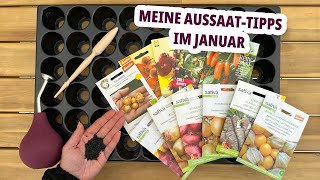 What can you sow in January? Tips for early sowing in January