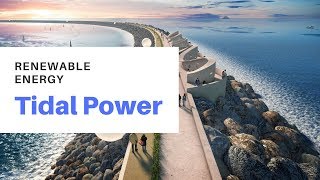How does Tidal Power Work? Tidal Energy