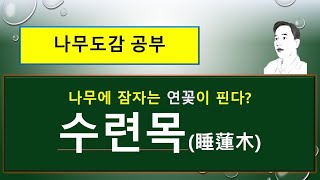 수련목은 어떤 나무일까? : 장구밥나무와 비교