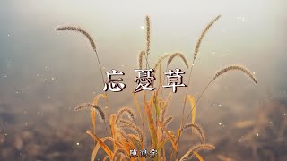 我們的民謠小鎮 第三期 | 陳鴻宇 - 忘憂草『來來往往的你我與他，相識不如相望淡淡一笑，忘憂草 忘了就好』【動態歌詞/Lyrics Video】