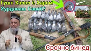 Хочи Мирзо  Гушти ин Халол ё харам аст? Срочно бинед