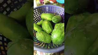 দিদির পাকা পেঁপে আর আমার কাঁচা পেঁপে #papaya #funny #papayashake #fruit #food