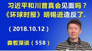 习近平和川普真的会“见面”吗？《环球时报》胡锡进“造反”了.（2018.10.12）