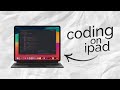 Can iPad Be Used for Coding? (explained)