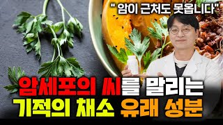 암세포의 씨를 말리는 채소의 항암성분 이걸 챙겨드시면 암을 얼씬도 못해요!