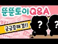 뚠뚠토이 Q&A