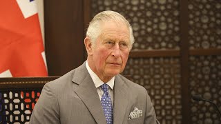 Prince Charles In Good Spirits After Testing Positive for Coronavirus
