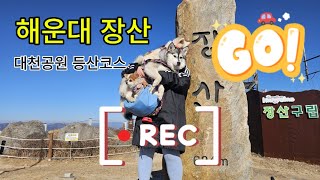 해운대 장산 등산코스(feat.강아지) 강아지와 가기 좋은 장산^^