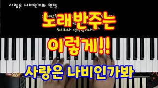 전자올겐연주 사랑은 나비인가봐 현철 YAMAHA psr s670  오부리반주시범영상 프로맥스반주기cover