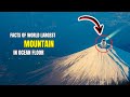 MAUNA KEA HIGHEST MOUNTAIN UNDERWATER || muna kea mountain height ||mauna kea facts