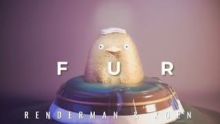 Renderman & XGen - Fur Tutorial