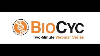 Produce a multiple sequence alignment