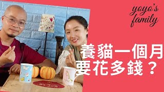 養貓一個月要花多少錢?/yoyo's family