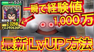 【星ドラ】最新！！レベル上げ方法まとめ！！これで色々な職業のレベルをガンガン上げていきましょう⤴️⤴️【アナゴ マスオ 声真似】