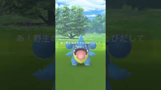 レポート 64【お香でガラル3鳥出現！結果は・・・！？】#shorts #ポケモンGO #ポケットモンスター #pokemon #pokemongo #ポケモンgo #ガラル三鳥