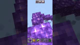 Minecraftアメジストブロックの音色♫♪(^^)🌱✨マイクラ#Shorts