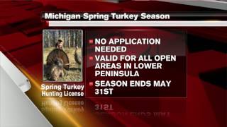 Michigan spring turkey season begins