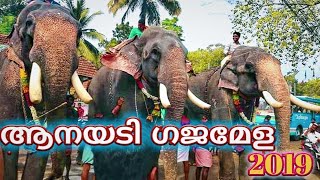 ആനയടി ഗജമേള 2019 || സ്വീകരണം || തെച്ചിക്കോട്ടുകാവ് രാമചന്ദ്രൻ, പാമ്പാടി രാജൻ, പുതുപ്പള്ളി കേശവൻ