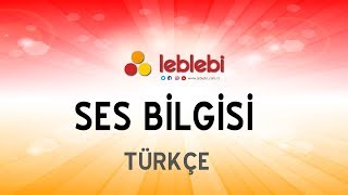 TÜRKÇE / SES BİLGİSİ