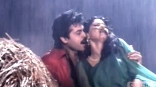 Ammayi Muddu Video Song || Kshana Kshanam Movie || Venkatesh, Sridevi