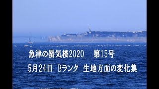 魚津の蜃気楼2020　第15号　5月24日　Bランク　生地方面の変化集