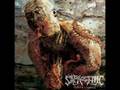 Saprogenic - Trepanation