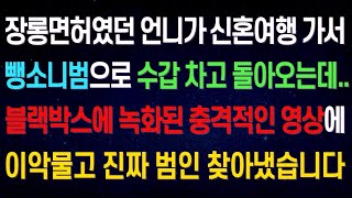 실화사연 친언니가 신혼여행 가서 수갑차고 돌아오는데   블랙박스에 녹화된 충격적인 영상에 내손으로 진범 찾아냈습니다